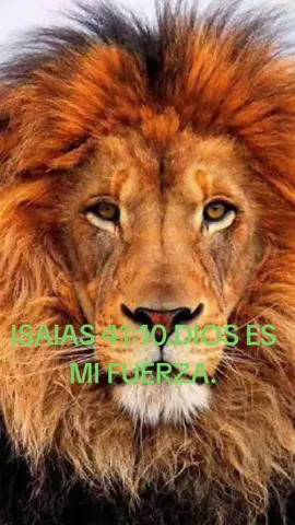 #ESPERANZA  # #DIOS # INSPIRACIÓN #FUERZA # DIOS # ORACION # PALABRA DE DIOS .