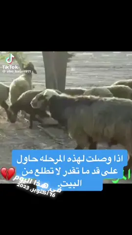 #في هذا اليوم 