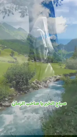 #CapCut  #صباح_الخير_يا_صاحب_الزمان #دعاء_العهد_محسن_فرهمند 