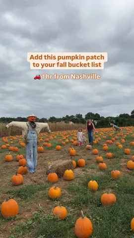 The perfect fall break activity 🎃  Send this to someone who needs to visit this pumpkin patch with you ✅  🫶 and follow me for more family adventure ideas in Tennessee and beyond!  This all-inclusive pumpkin patch is just 1 hour from Nashville and is DEFINITELY worth a day trip!  For just $15, you can do all the fall things at Cedarwood Pumpkin Patch including  🎃 tons of inflatables 🎃 multiple playgrounds 🎃 farm themed games 🎃 a pumpkin train 🎃 petting zoos  🎃 and you even get to pick your own pumpkin from the patch! 🎃  There are lots of cute photo spots, a farm store, concessions, restrooms, and pavilions with picnic tables. You could easily make a whole day out of this pumpkin patch!  Cedarwood is open Thursday- Sunday. Check their hours on their website before you go!  While you’re in town, explore more of McMinnville for more charming fall vibes!