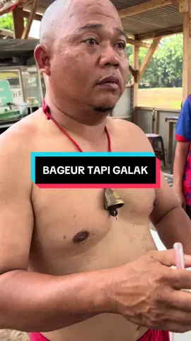 #sapigiras #purwadadi #subang 