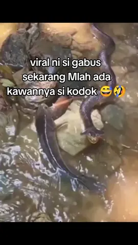 #kreditanbukansih ..😁😅