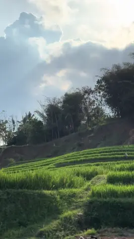 #rxkingindonesia 