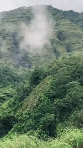 #fypppppppppppppppppppppp