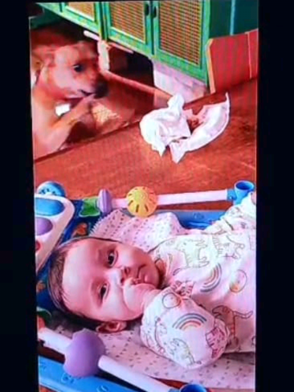 Meu bebê Isac participou do filme Caramelo da Netflix, fez o personagem Théo com 6 meses #caramelo #netflix #caramelonetflix #top1 #bebemenino 