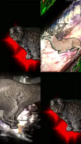 ftypmp42   mp42iso2mp41 hmoov   lmvhd    å×³å×³  è  ê`                                            @                                sgtrak   \tkhd   å×³å×³         ê`                                              @   8  €     $edts   elst         ê`  p     rßmdia    mdhd    å×³å×³ _ ReÀUÄ     -hdlr        vide            VideoHandler   rŠminf   vmhd              $dinf   dref          url      rJstbl  *stsd         hvc1                       8€ H   H                                        ÿÿ   hvcC@        xð üýøø     @ÿÿ@        x™À¡  ?B@        x  €/–g¹FFÿÃj      ó .òˆ Ið  ã` ¢  DÁ‘_2@   colrnclx       pasp         btrt     “ýù “ýù   stts           ¸   (stss            2  c  ”  Å  ö  8Pctts           p     :˜     p            ¸     :˜     p            ¸     :˜     p            ¸     :˜     p            ¸     :˜     p            ¸     :˜     p            ¸     :˜     p            ¸     :˜     p            ¸     :˜     p            ¸     :˜     p            ¸     :˜     p            ¸     :˜     p            ¸     :˜     p            ¸     :˜     p            ¸     :˜     p            ¸     :˜     p            ¸     :˜     p            ¸     :˜     p            ¸     :˜     p            ¸     :˜     p            ¸     :˜     p            ¸     :˜     p            ¸     :˜     p            ¸     :˜     p            ¸     :˜     p            ¸     :˜     p            ¸     :˜     p            ¸     :˜     p            ¸     :˜     p            ¸     :˜     p            ¸     :˜     p            ¸     :˜     p            ¸     :˜     p            ¸     :˜     p            ¸     :˜     p            ¸     :˜     p            ¸     :˜     p            ¸     :˜     p            ¸     :˜     p            ¸     :˜     p            ¸     :˜     p            ¸     :˜     p            ¸     :˜     p            ¸     :˜     p            ¸     :˜     p            ¸     :˜     p            ¸     :˜     p            ¸     :˜     p            ¸     :˜     p            ¸     :˜     p            ¸     :˜     p            ¸     :˜     p            ¸     :˜     p            ¸     :˜     p            ¸     :˜     p            ¸     :˜     p            ¸     :˜     p            ¸     :˜     p            ¸     :˜     p            ¸     :˜     p            ¸     :˜     p            ¸     :˜     p            ¸     :˜     p            ¸     :˜     p            ¸     :˜     p            ¸     :˜     p            ¸     :˜     p            ¸     :˜     p            ¸     :˜     p            ¸     :˜     p            ¸     :˜     p            ¸     :˜     p            ¸     :˜     p            ¸     :˜     p            ¸     :˜     p            ¸     :˜     p            ¸     p     :˜     p            ¸     :˜     p            ¸     :˜     p            ¸     :˜     p            ¸     :˜     p            ¸     :˜     p            ¸     :˜     p            ¸     :˜     p            ¸     :˜     p            ¸     :˜     p            ¸     :˜     p            ¸     :˜     p            ¸     :˜     p            ¸     :˜     p            ¸     :˜     p            ¸     :˜     p            ¸     :˜     p            ¸     :˜     p            ¸     :˜     p            ¸     :˜     p            ¸     :˜     p            ¸     :˜     p            ¸     :˜     p            ¸ 