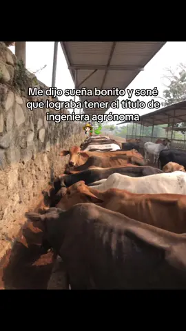 #agronomia🌱🍃♥️ #fyppppppppppppppppppppppp #virallllllllllllllllllllllllll #paratiiiiiiiiiiiiiiiiiiiiiiiiiiiiiiiiii🦋 #ingenieraagronoma👩🏻‍🌾💚 