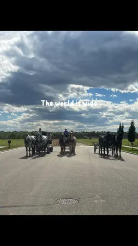 Memories were definitely made! The experience of working with such gentle giants was incredible! Here’s to the next adventure #drafthorses #drafthorsesoftiktok #equineadventures 