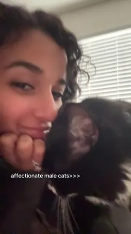 MY BABBBBY 🥹 #foryou #kitty #boycats 