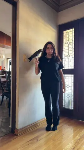 hoy en mi cabeza soy una victoria secret ANGEL 💋 #foryoupage #fyp #mujeres #victoriasecretfashionshow #victoriasecret 