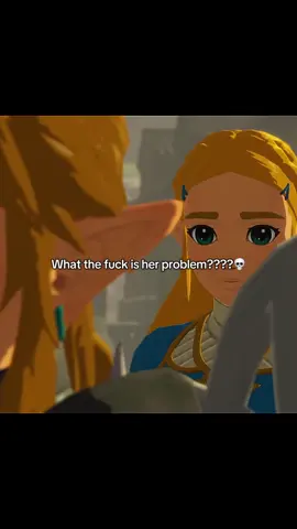like ma’am csn I help you???😭 #zeldaedit #zelink #thelegendofzeldatearsofthekingdom #hyrulewarriors #zeldameme