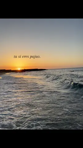 chamo si #venezuela #humor #text 