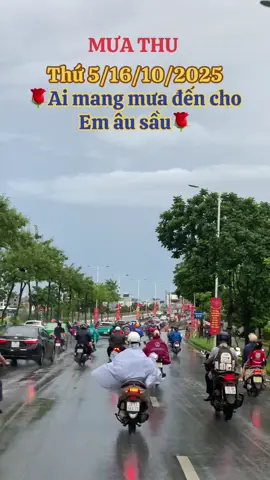 #xuhuong2023hoahong368💞🌹 #nhạchaymỗingày 
