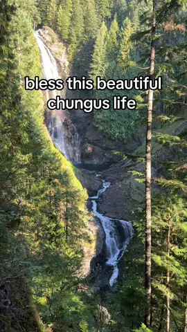 you only have one chungus life….. #chungus #bigchungus #hopecore 