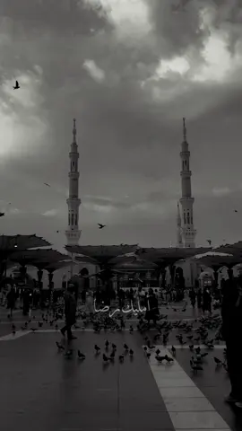 يارب 🙏🏻🤍..   #القطيف_الشععب_اللطيف🥳♥️ #اكسبلورexplore #fyppppppppppppppppppppppp #المدينه_المنوره #كربلاء_مدينة_العشق_والعاشقين 