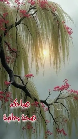 #دعاءالصباح_بصوت_يريح_قلبك #أصبحنا_وأصبح_الملك_لله_الحمدلله #توسل_استغاثةطلب_حاجة