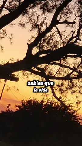 #CapCut #fyp #true #beautiful #reflexion 