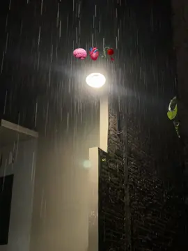 #fyppppppppppppppppppppppp #xyzbca #foryoupage #simtudduror #penyejukhati #danuartadf #vibeshujan #kudus24jam 