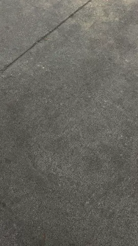 cleannnn… #fyp #foryou #viral 