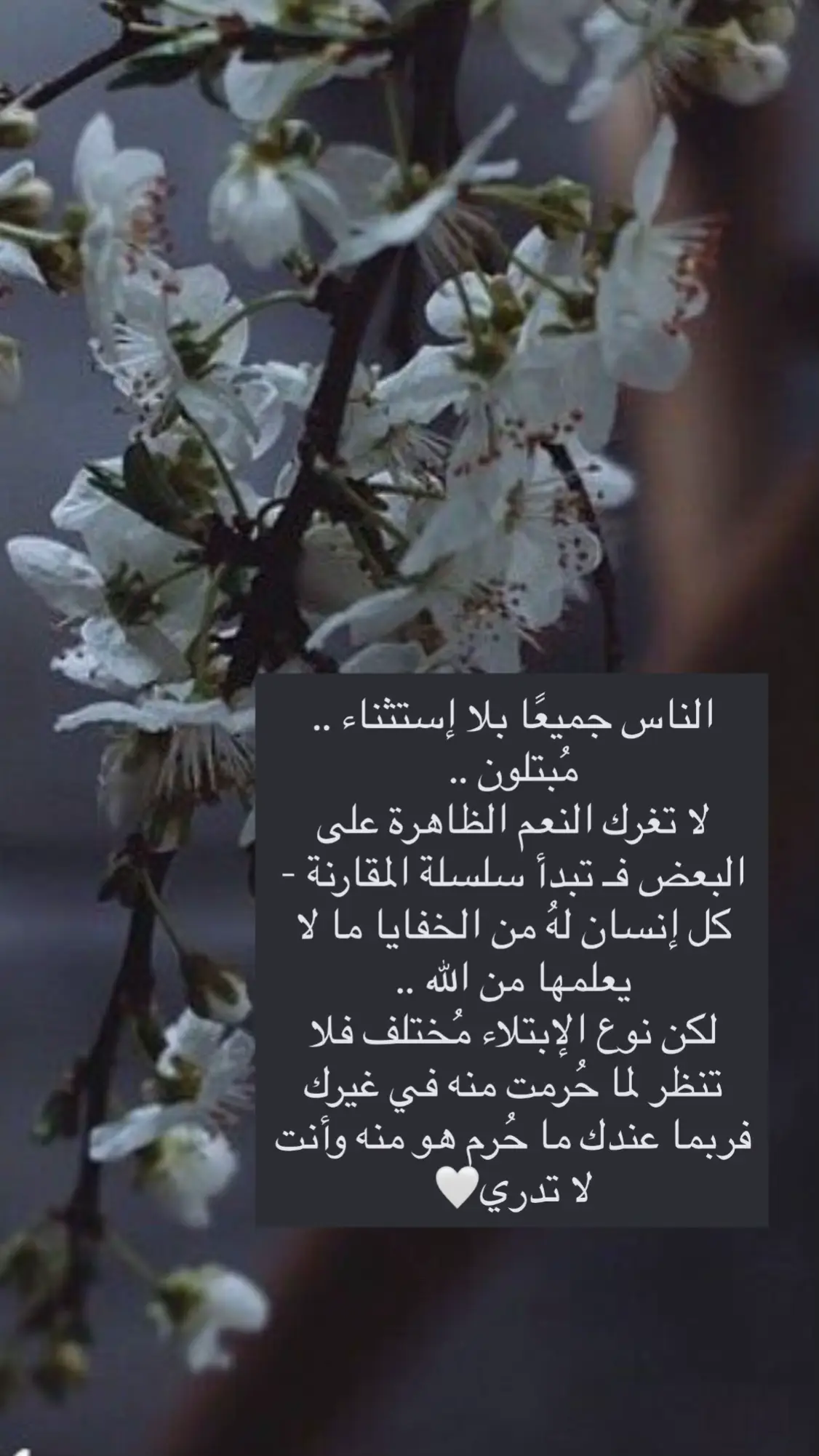 #اكسبلور #explore #tiktok #تصميم #الشيخ_فهد_القرني 