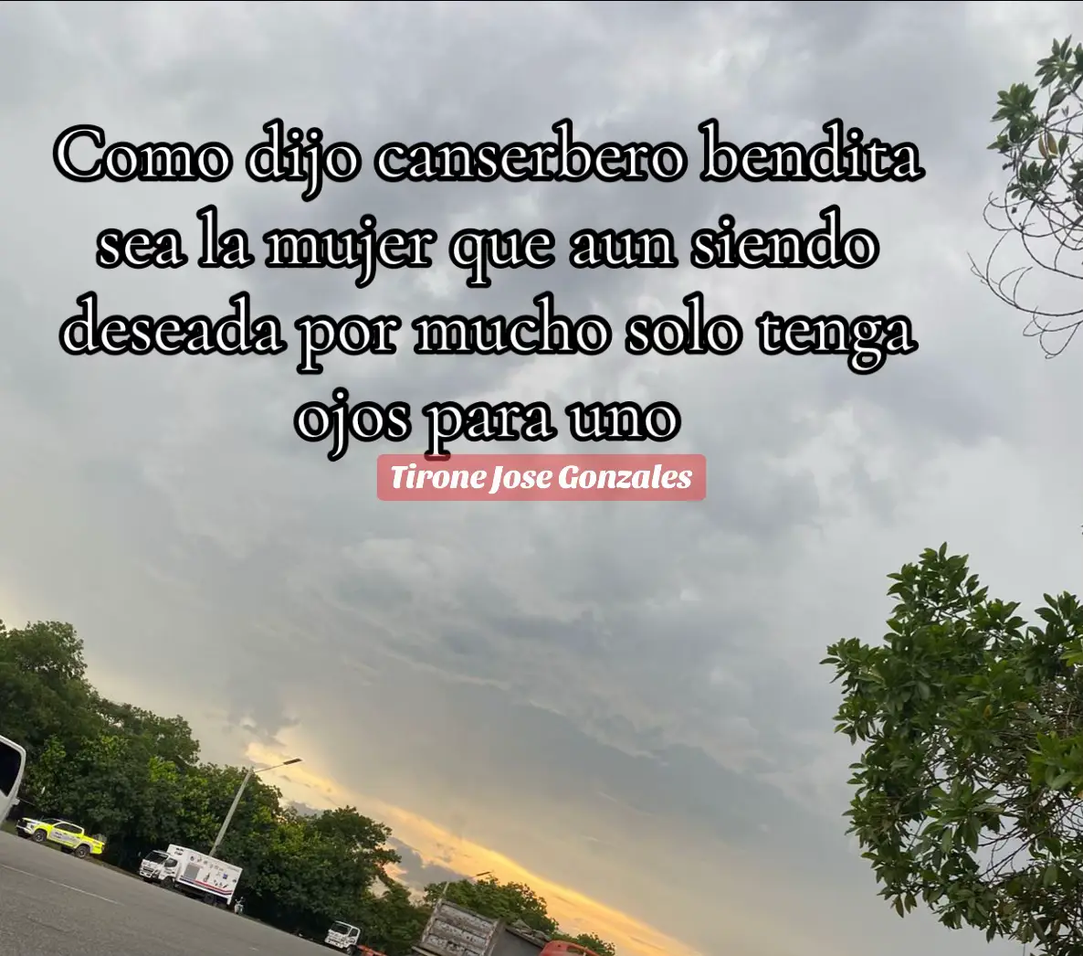 #canserbero  #mundodepiedra  #maquiavellico  #tiktok 