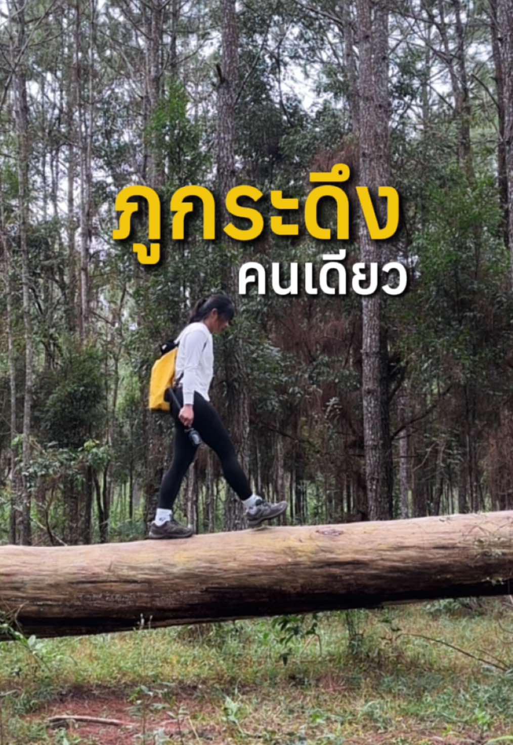 ภูกระดึง 11-13 ตุลาคม เดินคนเดียวไม่เห็นจะเหงา 😌💖 #ภูกระดึง #เดินป่า 