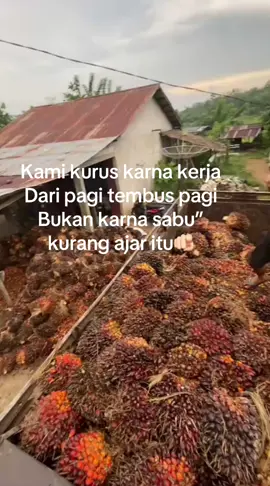 Pasukan tembus pagi #fypage #masukberanda #banyak 