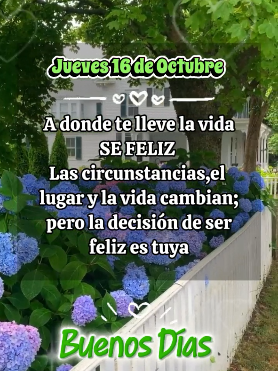 Buenos Días excelente Jueves🙌💞#buenosdias #frases #jueves #16deoctubre #buenosdias 