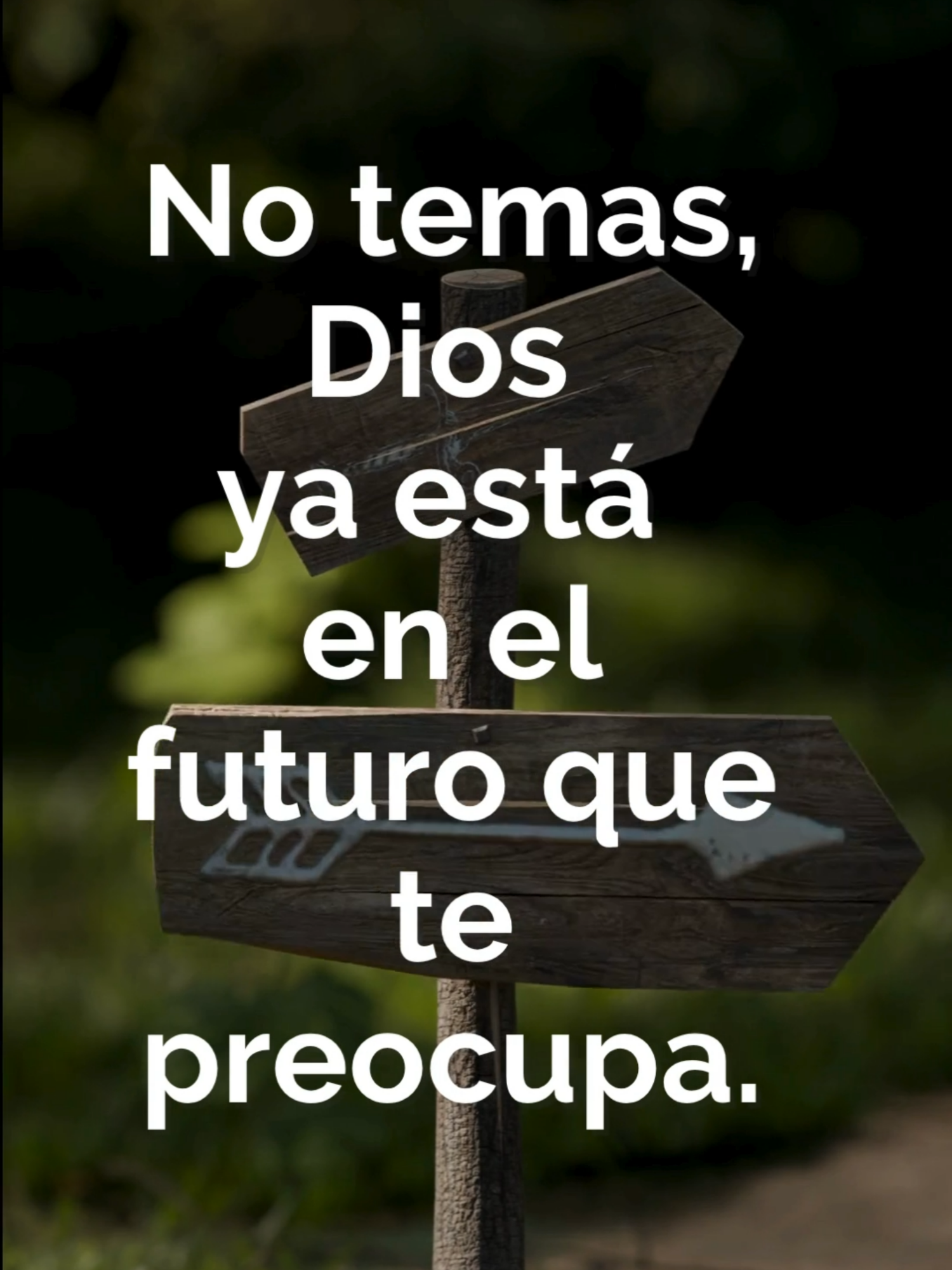 Tu futuro está en manos de Dios, sigue orando El te escucha siempre, ten fe! “El Señor va delante de ti y estará contigo; nunca te dejará ni te abandonará.” Deuteronomio 31:8 #cristo #Diosteama #espiritusanto #FeenDios #ConfianzaenDios #gratitud #DiosesFiel #PazInterior #cristianos