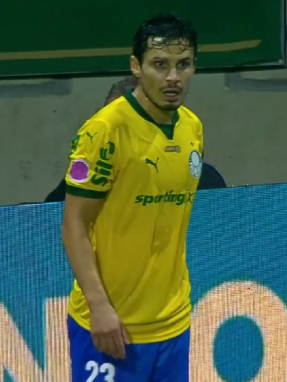 Gol Bruno Fuchs - Palmeiras 1 x 1 RB Bragantino | 28° Rodada - Brasileirão Série A 2025