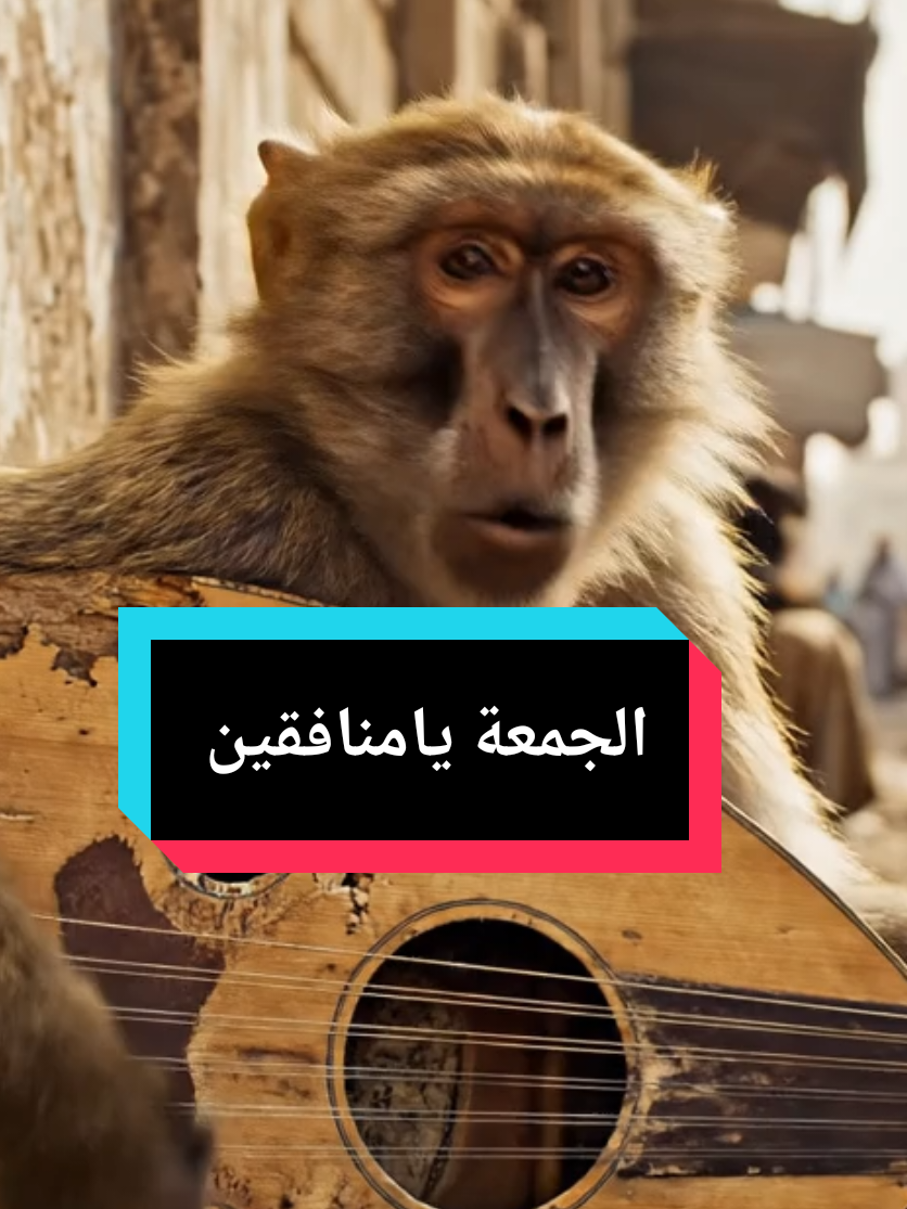 القرد اليوم فاضح المتدينين الموسميين 😂👇 