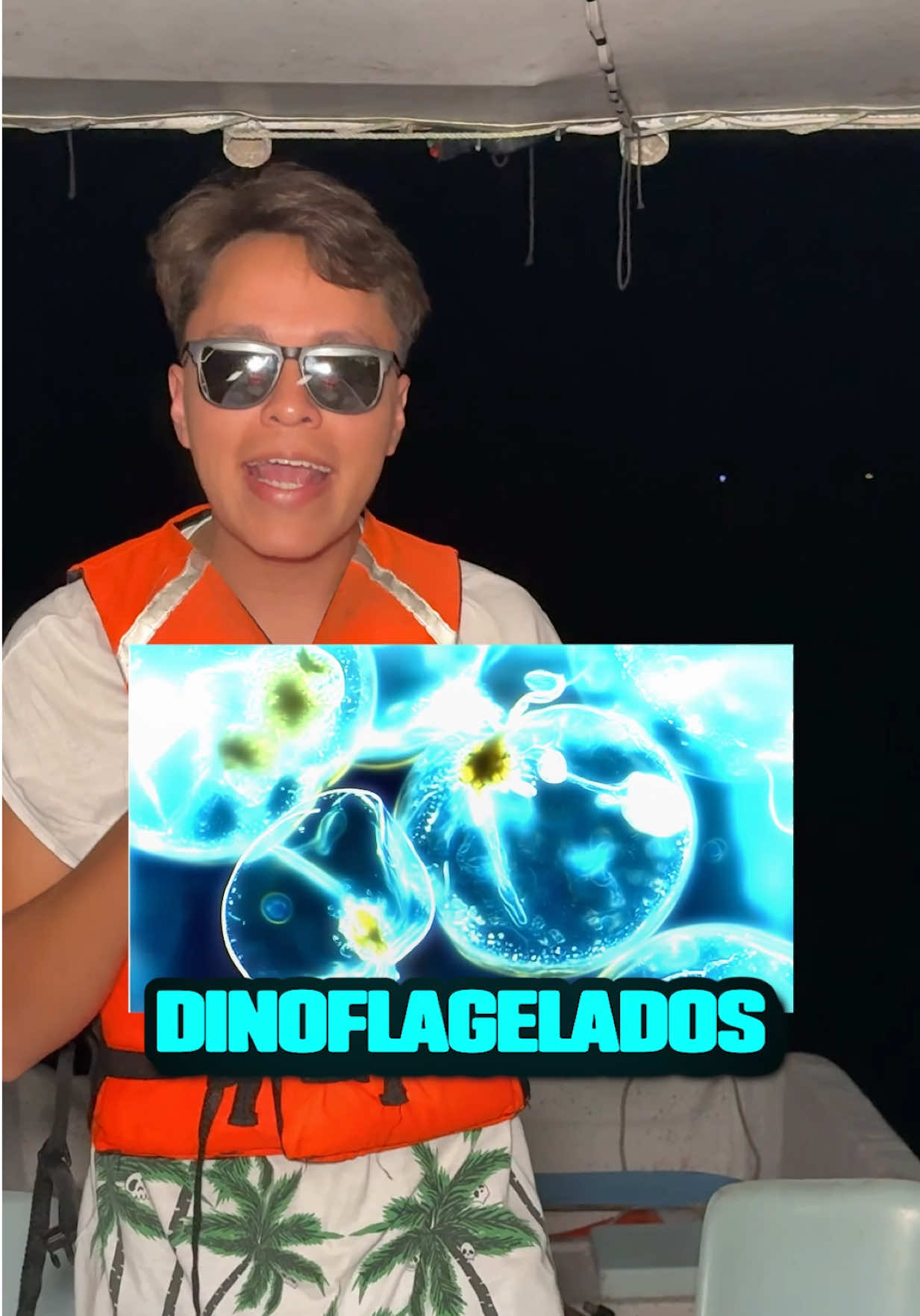 Así es nadar en Biolumiscencia 🌊#creatorsearchinsights #ocean #viajes #viral #soyittai les dejo el contacto del tour 100% seguro 9516142933