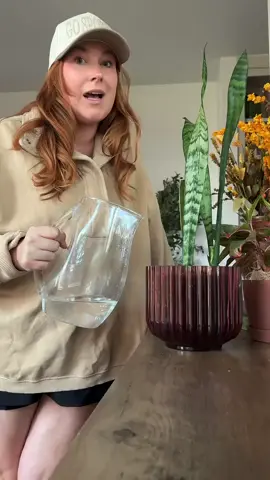 #ad Oklahoma education has a reputation - and as parents, it’s our job to help and encourage our kids to thrive.  Learn more at OKEII.org/WhyItMatters . #ad #Oklahomamom #OklahomaEducation  #WhyItMatters @OKEII 