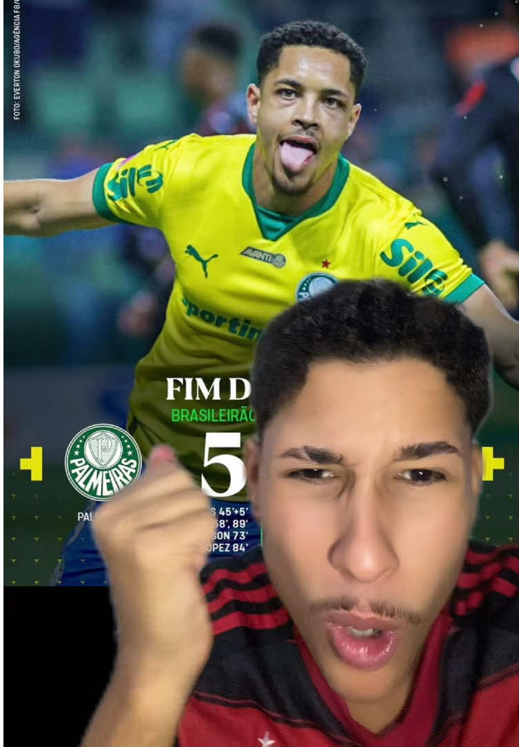 Palmeiras Venceu Denovooooo Não dá mais não chegaaa #palmeiras #flamengo #brasileirão #palmeirasxbragantino 