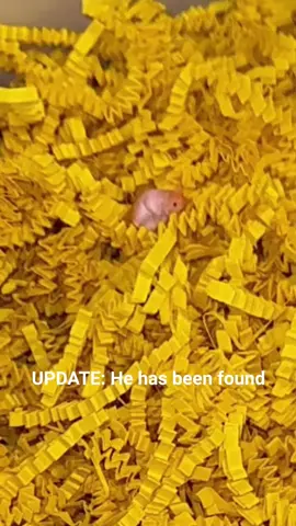 the reunion is going to be beautiful 🥹 #miniverse