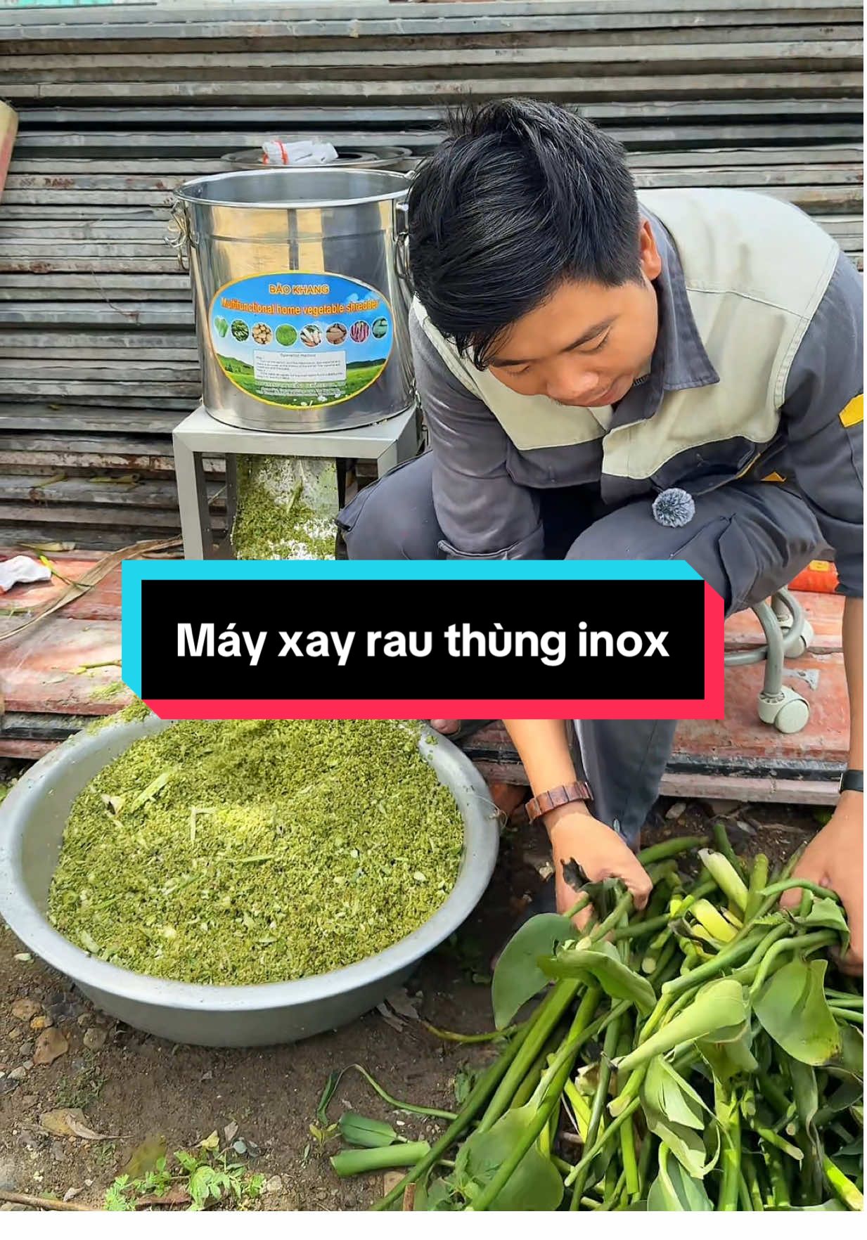 Máy xay rau bảo khang thùng inox loại 1#tranhongstore #mayxayrau#mayxayraucuchannuoi#mayxaythunginox