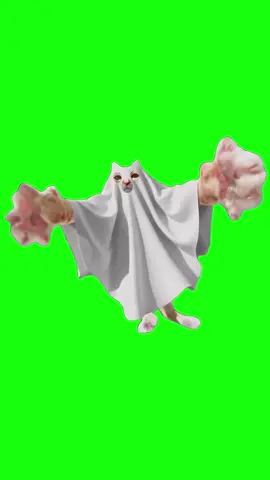 Spooky Blegh Cat | Green Screen #cats #halloween #gato #catmeme #fyp Original video by @Shrimpy Cleecloomou 