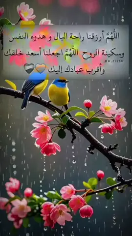 يارب 🤍🍂#راحة_البال_وهدوء_النفس🥀🖤 #الحمدالله_علی_کل_حال❤ #خواطر 