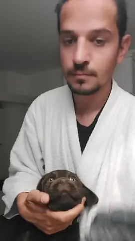 #amintire 