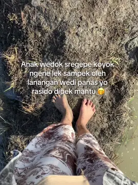 #petanimuda #petaniindonesia🇮🇩🇮🇩🇮🇩🌿🌿 
