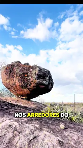 Se você ama a cultura nordestina curta e comente