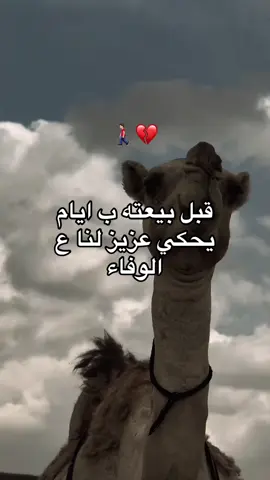 #تصاميم #تصاميم_فيديوهات🎵🎤🎬 