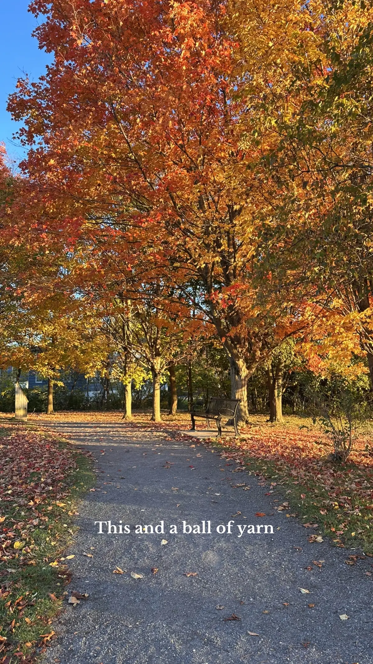 Give me a perfect fall day to crochet #yarntok #crochet #knitting 