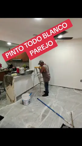 #pintorarruinalaobra#pintorarruinalacasa#elpeorpintordelmundo#arquitectocorrealpintor#qrquitectosepeleaconpintor
