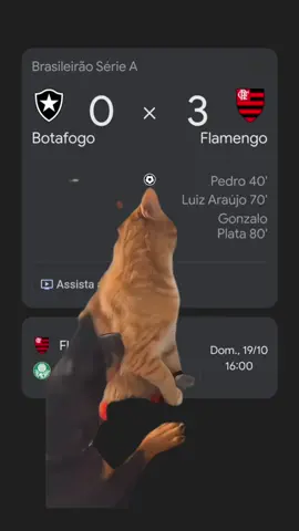 Natural como respirar. 😎 Botafogo 0 X 3 FLAMENGO. 🔴⚫ Mais três pontos, mais um clássico na conta. E aí, Nação… qual foi o gol mais bonito do clássico? 👇 #Flamengo #futebol #brasileirao 