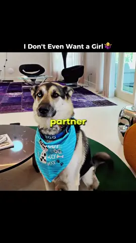 You don't want a girl 😭 #success #money #motivation #rich #businessgrowth #tjrtrades