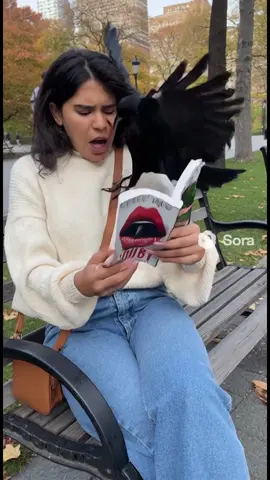 No one saw this coming… No. 444 on Amazon’s Women’s Psychological Fiction bestsellers — and now a crow just stole mine 😳📚 Read the wild story in the bio 🎧 #BookTok #KindleUnlimited #trending #KindleUnlimitedRomanceBooks #fyp