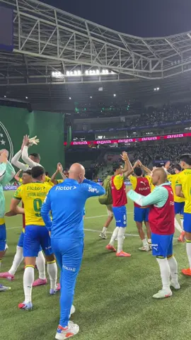 ➕3️⃣ pontos, #FamíliaPalmeiras! #TikTokEsportes #Palmeiras 