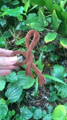 kẹp tóc nơ nhung màu cafe #hoaian836 #keptocxinh #kepnonhung #keptocno #kepcangcua 