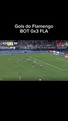 Gols do Flamengo em cima do Botafogo|  Flamengo ganha do Botafogo de três a zero com primeiro gol do Pedro, segundo do Luiz Araújo e por último gols do Plata. #golsdoflamengo #gols #flamengoxbotafogo #flamengo #bradileirao2025 